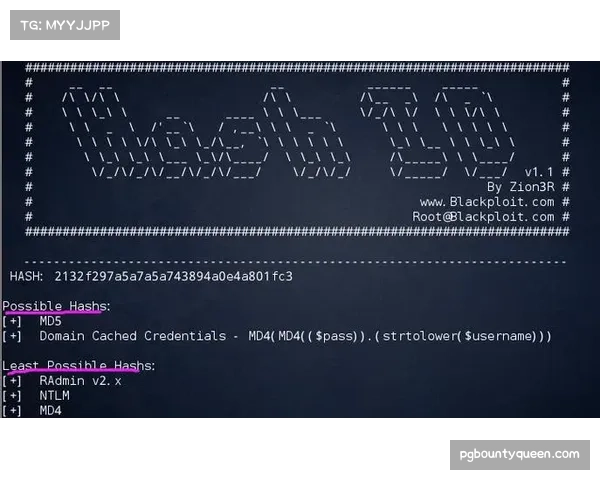 上海嘉定汇龙赛季总结 攻防两端数据均需优化